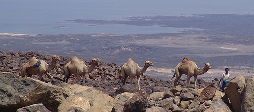Djibouti