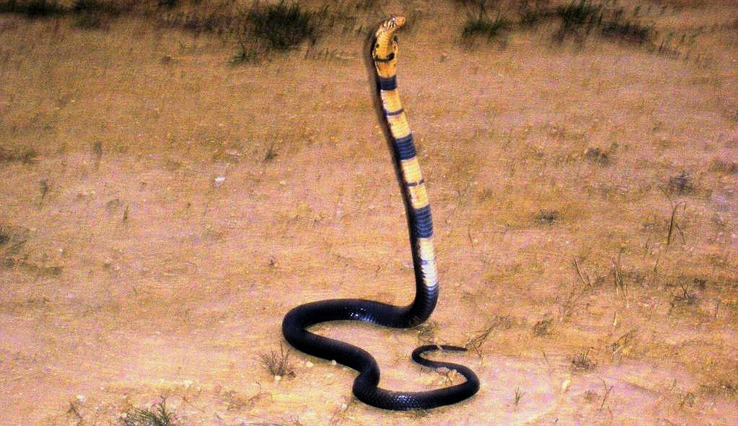 Photograph from the original travel archive