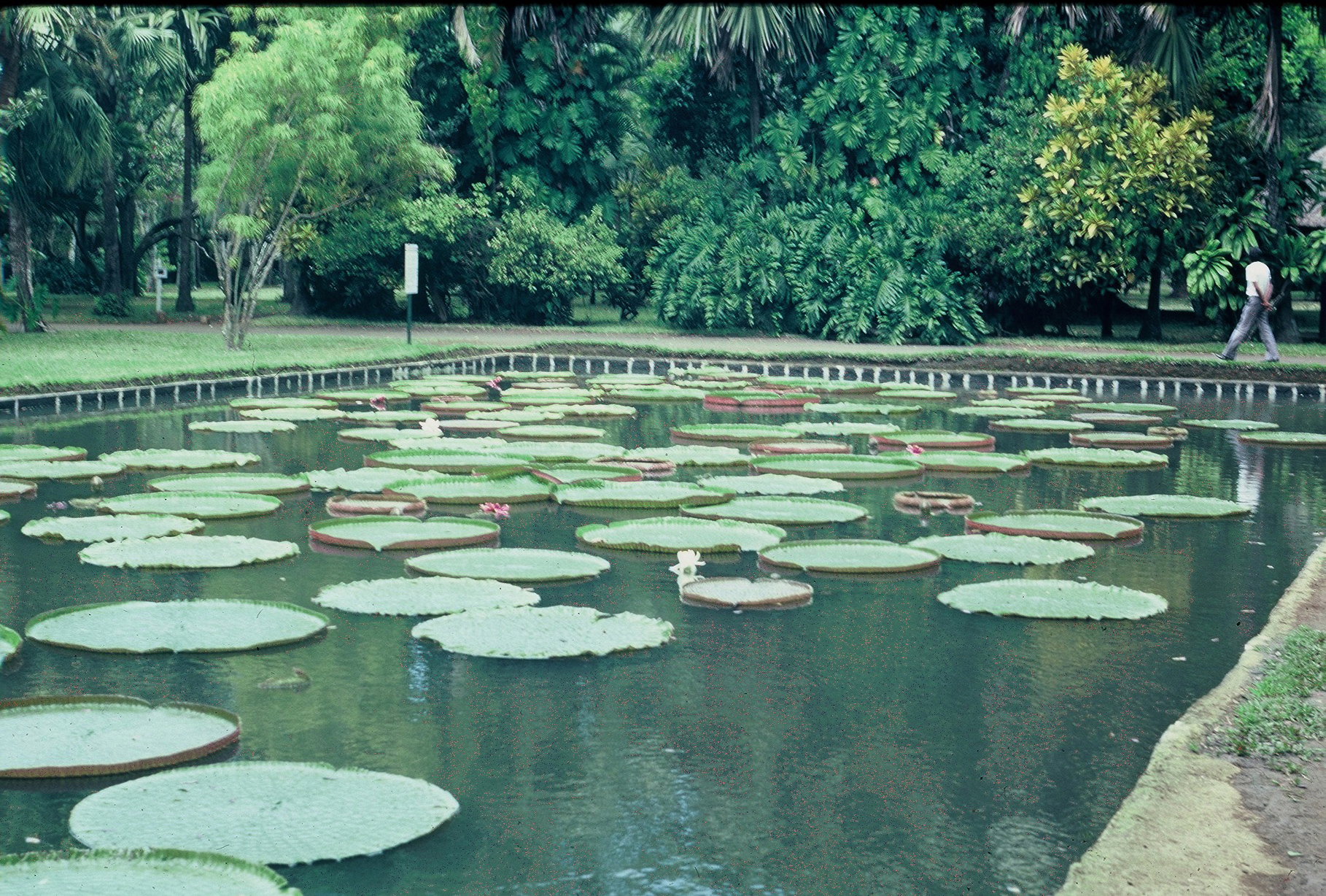 Photograph from the original travel archive