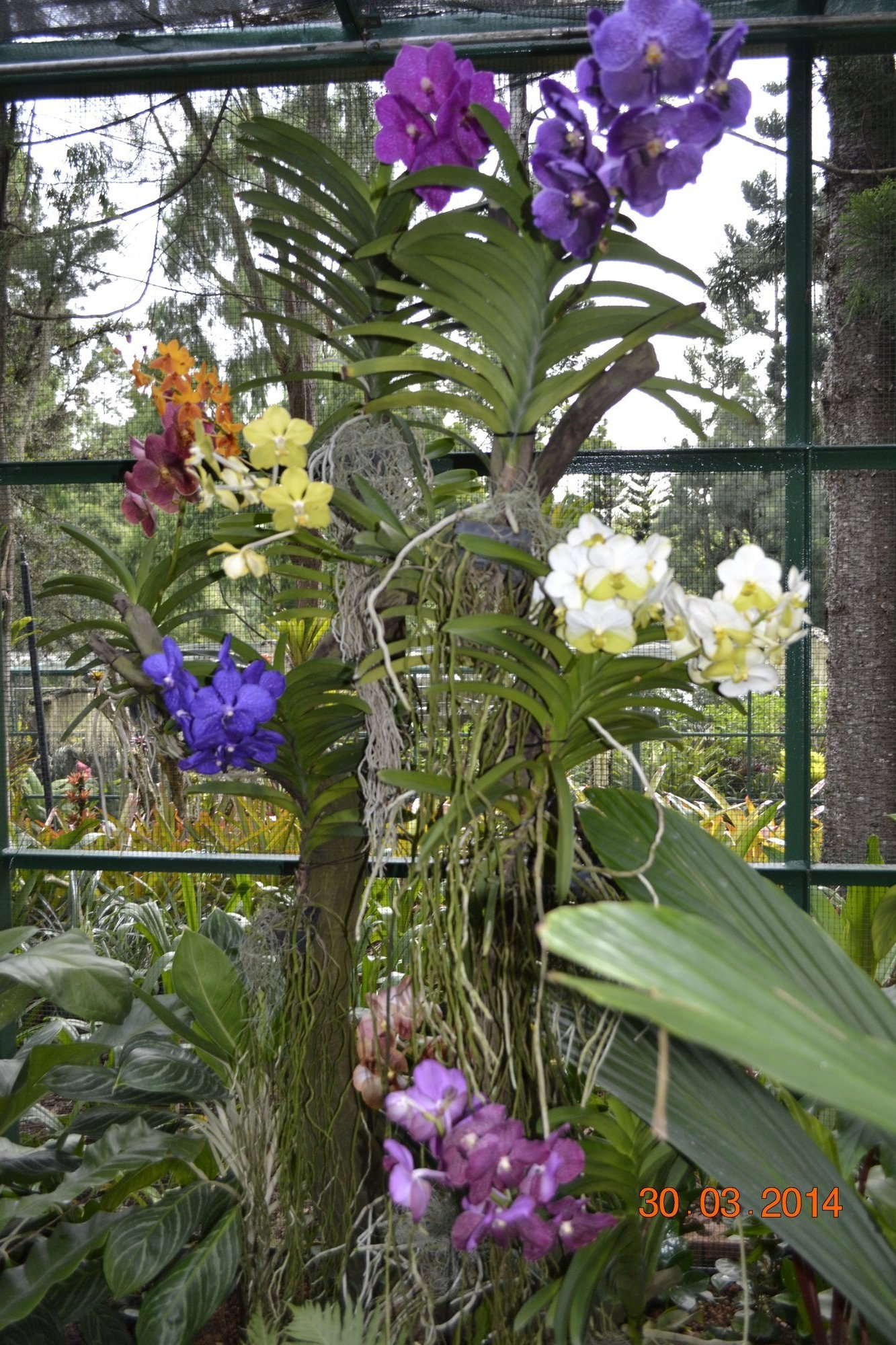 Photograph from my Singapore travel archive